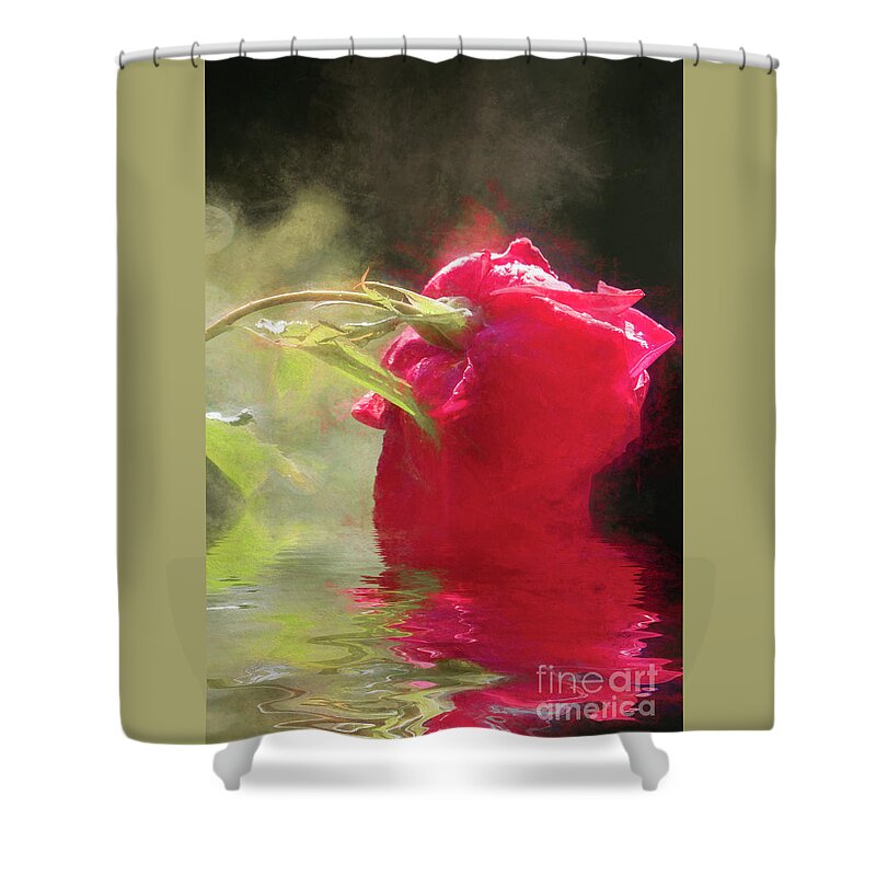Rose Shower Curtain featuring the photograph Misty Rose Reflections #1 by Elaine Teague