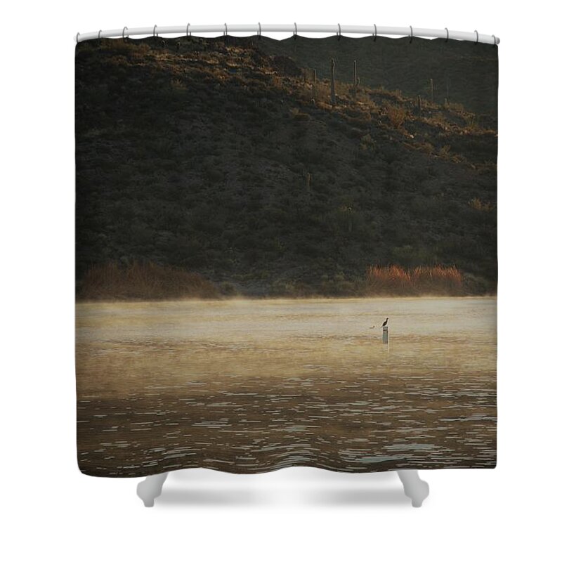 Lake Shower Curtain featuring the photograph Morning #1 by David S Reynolds
