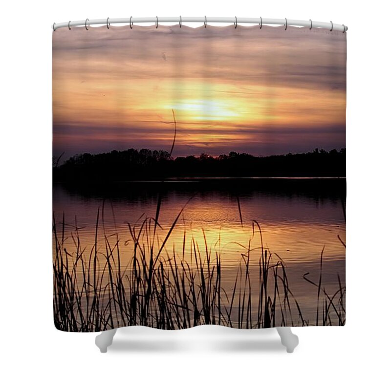 Nature Shower Curtain featuring the photograph November Sunset #1 by Mary Walchuck