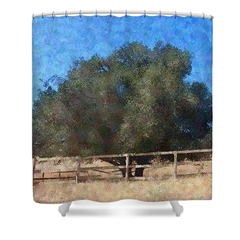 Tree Shower Curtain featuring the photograph Old Oak Tree #1 by Katherine Erickson