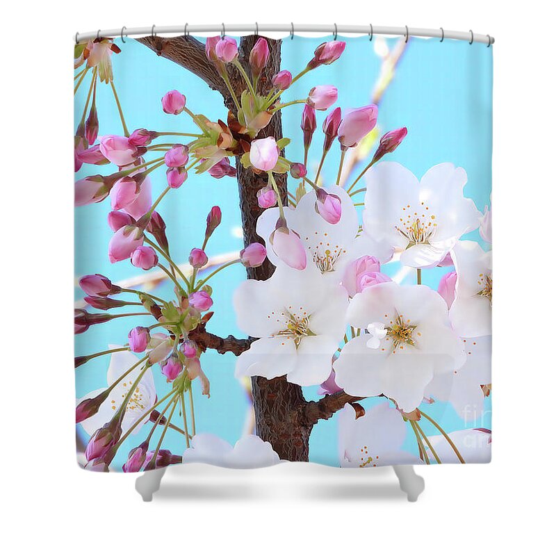 Japanese Cherry Blossom Shower Curtain featuring the photograph On A Spring Day #1 by Scott Cameron