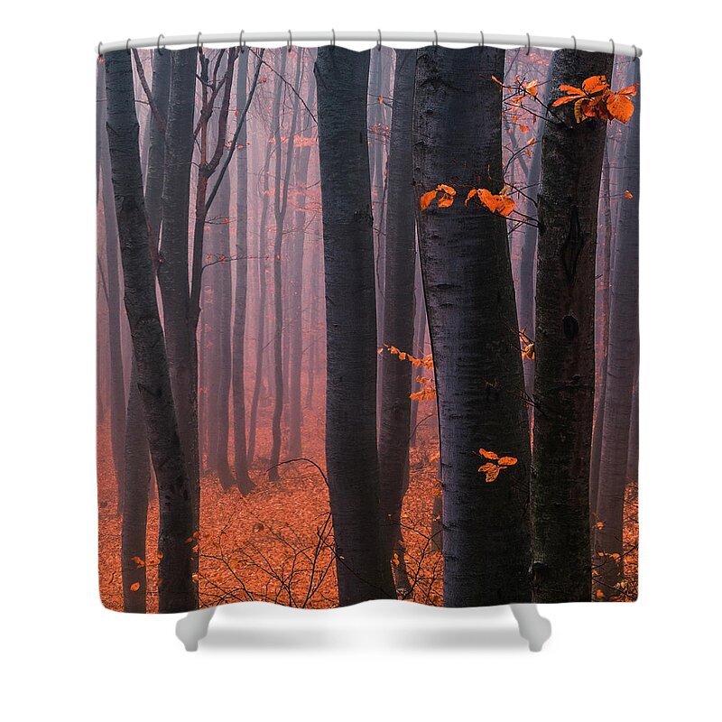 Mountain Shower Curtain featuring the photograph Orange Wood by Evgeni Dinev