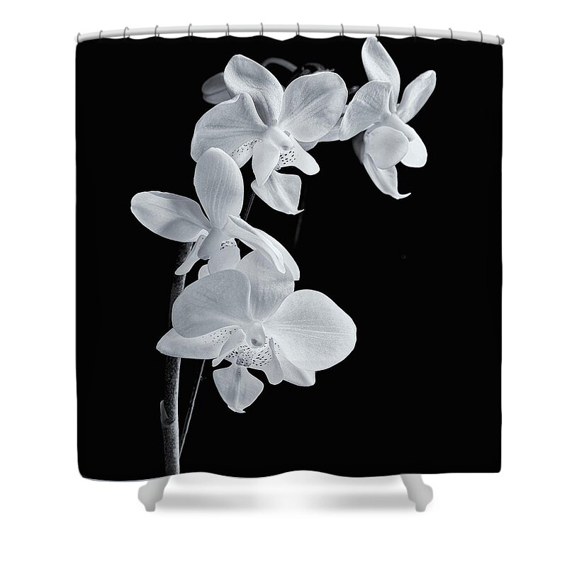 Orchids Shower Curtain featuring the photograph Orchids Black and White #1 by Jeff Townsend