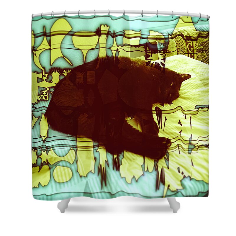 Abstract Shower Curtain featuring the digital art Pattern 45 by Marko Sabotin