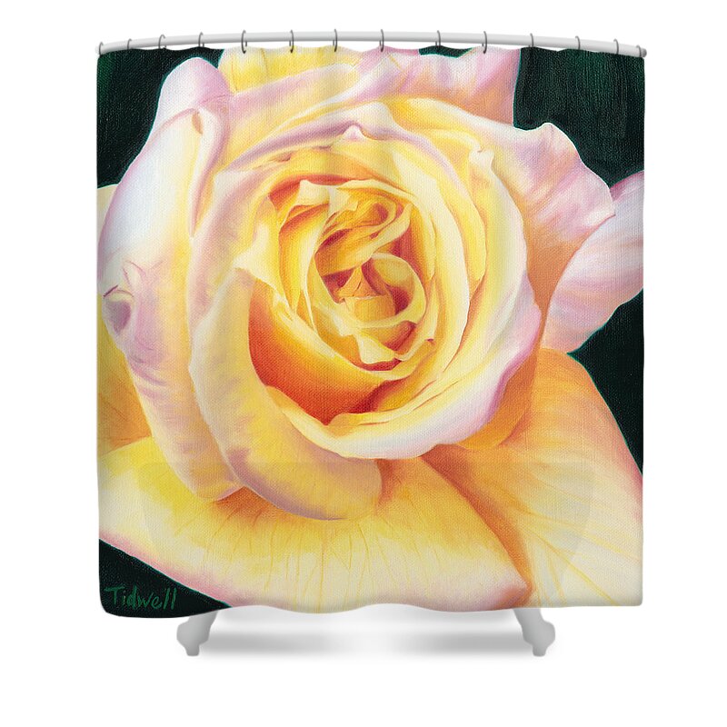Rose Shower Curtain featuring the painting Peace #1 by Deborah Tidwell Artist