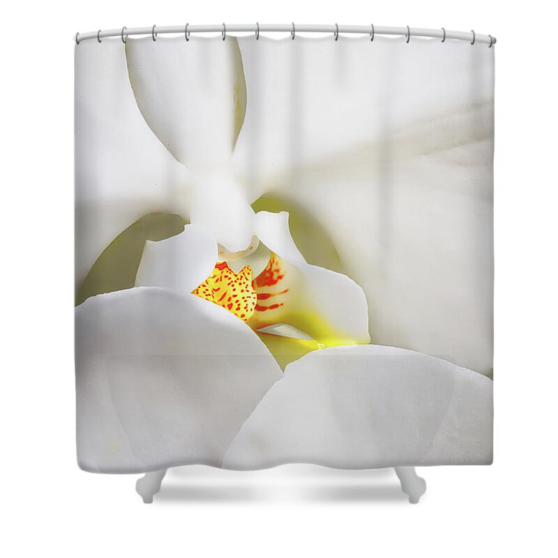 Orchid Shower Curtain featuring the photograph Peeking Through The Orchid Petals #1 by Gary Slawsky