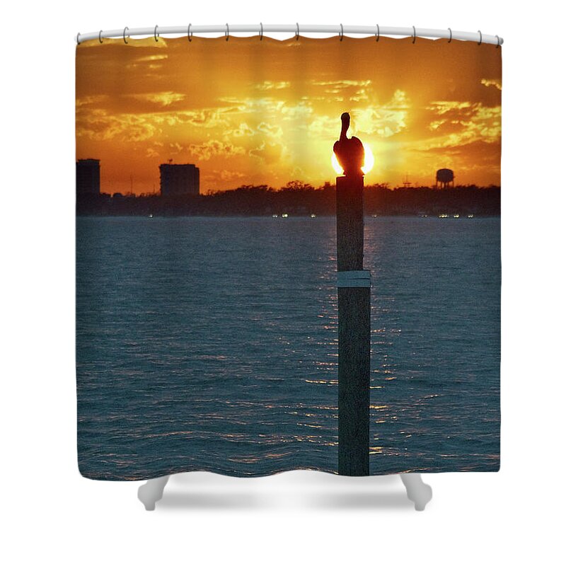 Sky Shower Curtain featuring the photograph Pelican and Sunset #1 by George Taylor