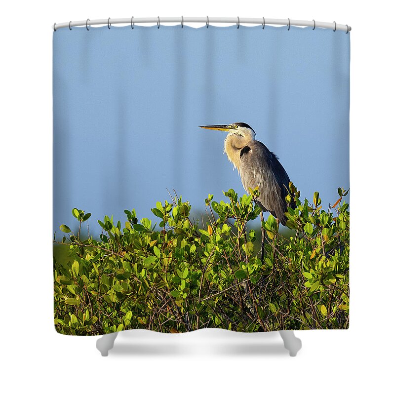 R5-2618 Shower Curtain featuring the photograph Perched by Gordon Elwell