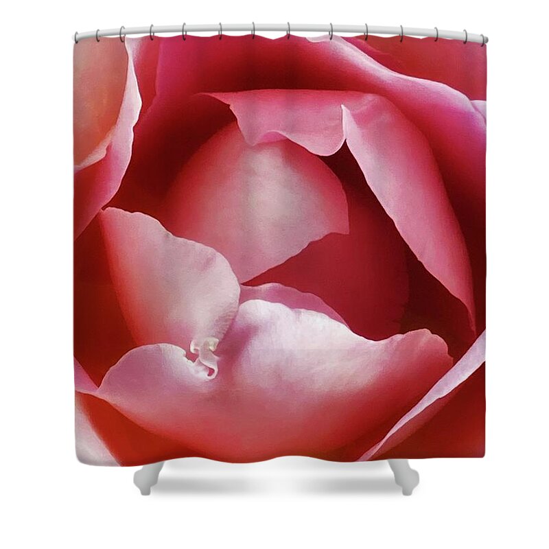 Nursery Shower Curtain featuring the photograph Pink Rose #1 by Steph Gabler
