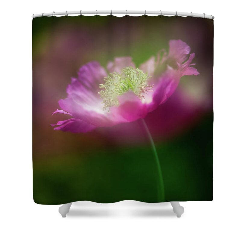 Botanical Shower Curtain featuring the photograph Pretty in Pink #1 by Venetta Archer