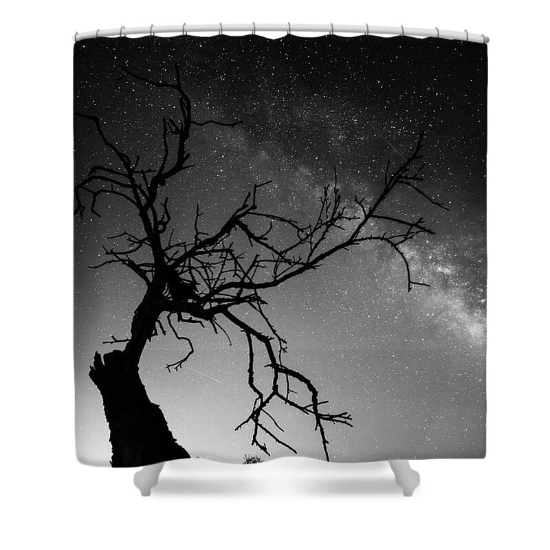Black Shower Curtain featuring the photograph Reaching for the stars #1 by Gary Browne