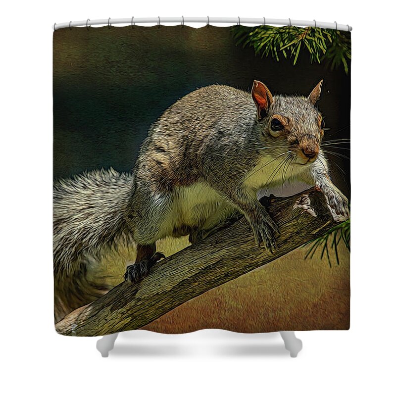 Squirrel Shower Curtain featuring the photograph Ready To Jump #1 by Cathy Kovarik