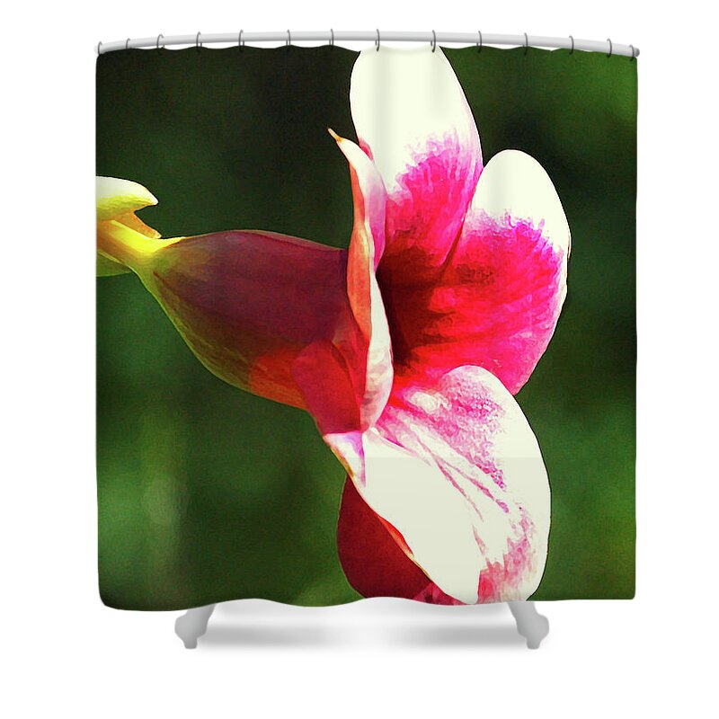 Flowers Shower Curtain featuring the photograph Red Flower #1 by Robert Suggs