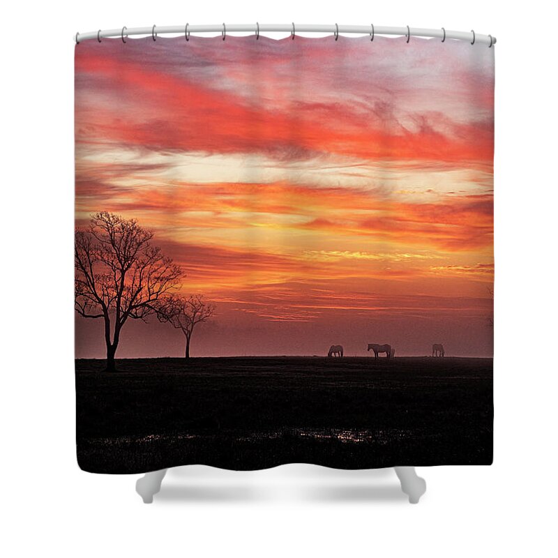 Sunrise Shower Curtain featuring the photograph Red Sky Sunrise #1 by Jerry Connally