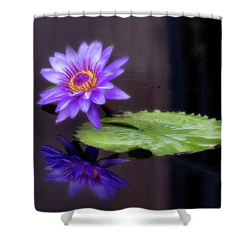 Floral Shower Curtain featuring the photograph Reflecting #1 by Usha Peddamatham