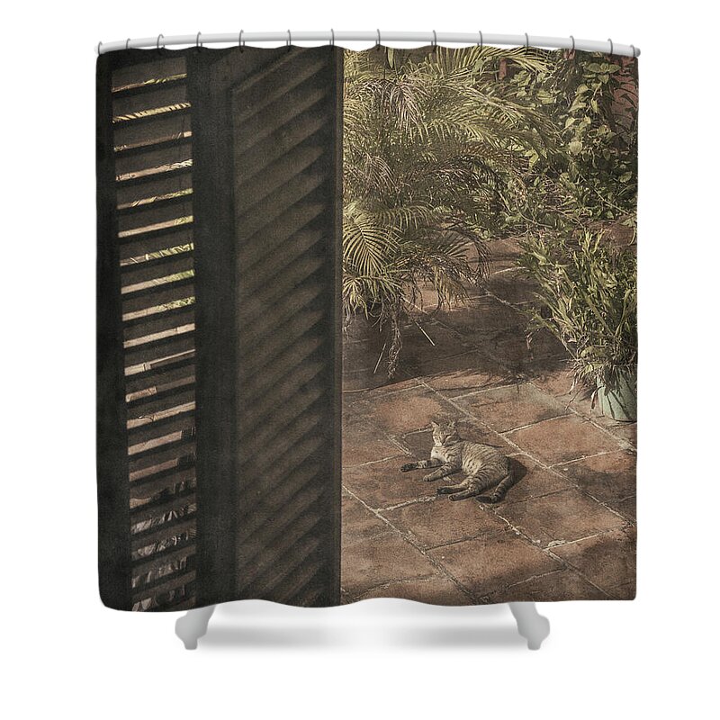 Cat Shower Curtain featuring the photograph Royalty by M Kathleen Warren