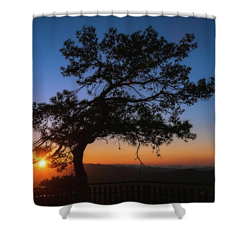 Cyprus Shower Curtain featuring the photograph Silhouette of a forest pine tree during blue hour with bright sun at sunset. #1 by Michalakis Ppalis