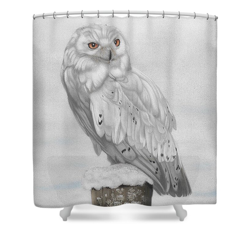Owl Shower Curtain featuring the painting Snowy Owl by Karie-ann Cooper