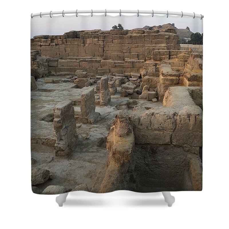 Giza Shower Curtain featuring the photograph Sphinx Temple #1 by Trevor Grassi