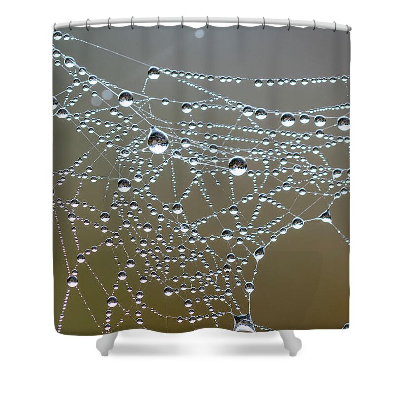 Astoria Shower Curtain featuring the photograph Spiderverse #2 by Robert Potts