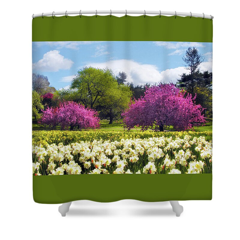 Spring Shower Curtain featuring the photograph Spring Fever by Jessica Jenney