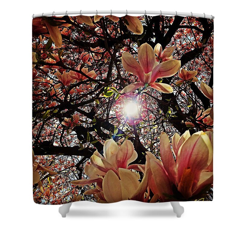 Springtime Shower Curtain featuring the photograph Spring #2 by Tanja Leuenberger