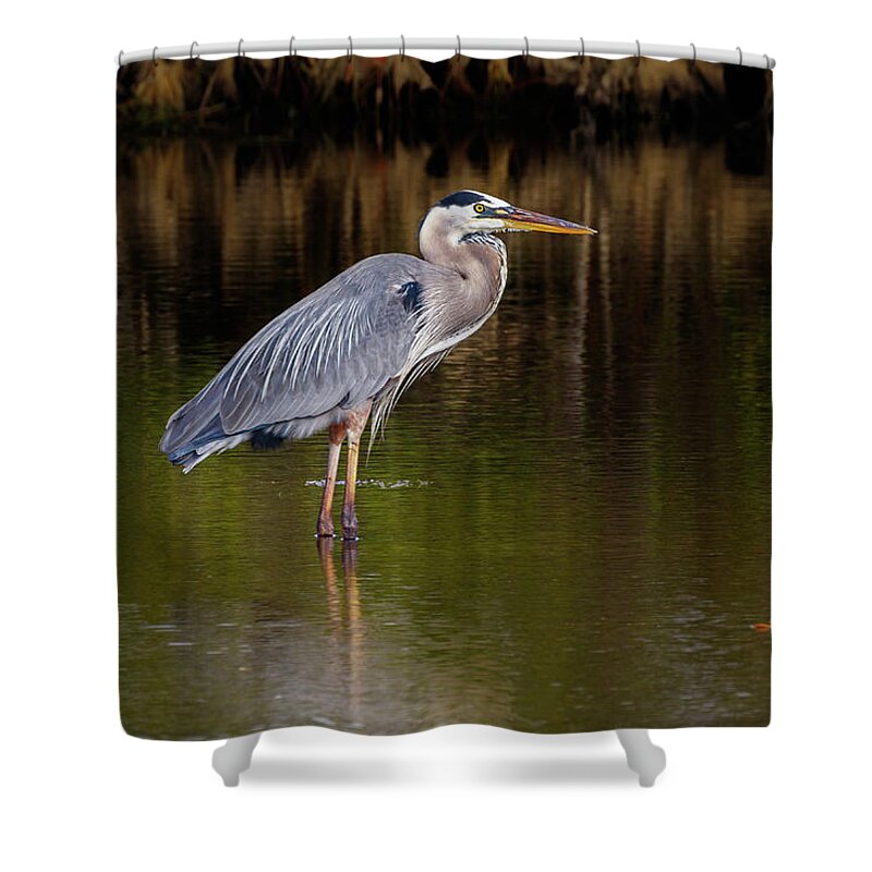 Bird Shower Curtain featuring the photograph Standing Watch #2 by Les Greenwood