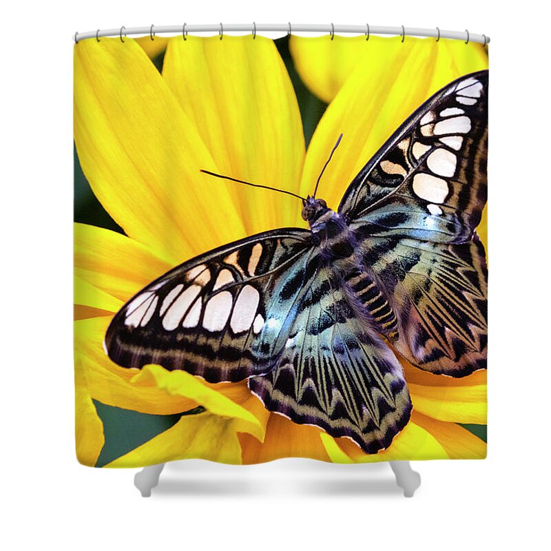 Vibrant Rest Stop Shower Curtain featuring the photograph Vibrant Rest Stop by Patty Colabuono