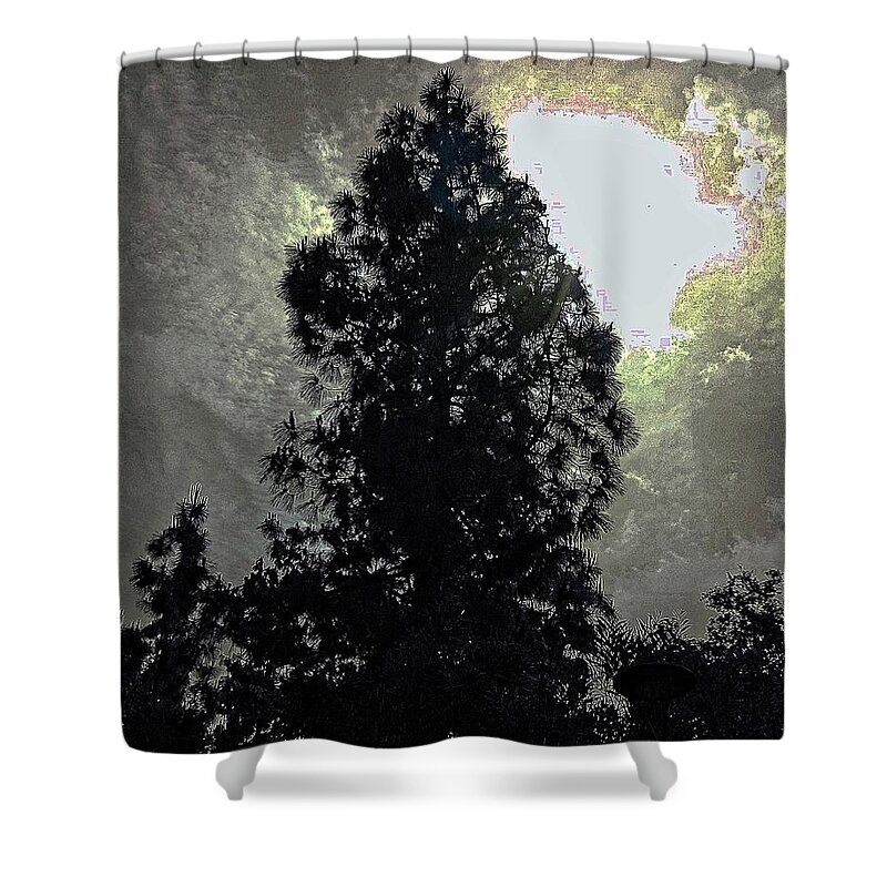 Tree Shower Curtain featuring the photograph Sun Tree #1 by Andrew Lawrence