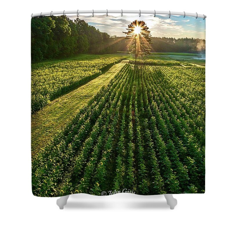  Shower Curtain featuring the photograph Sunflower Sunrise #1 by John Gisis