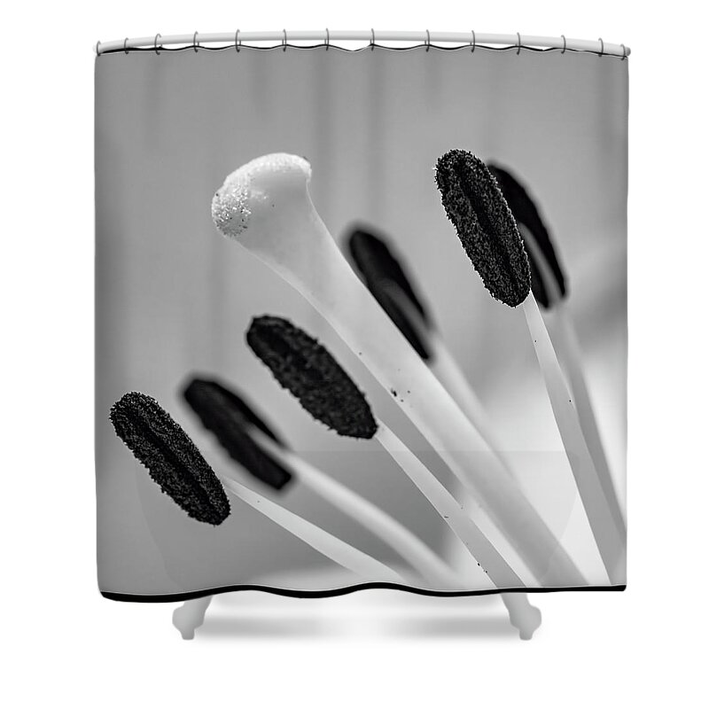 Flower Shower Curtain featuring the photograph The Center #1 by Cathy Kovarik