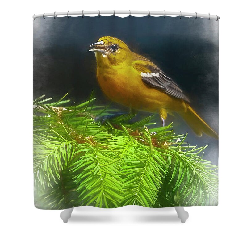 Songbird Shower Curtain featuring the photograph The Oriole #1 by Cathy Kovarik