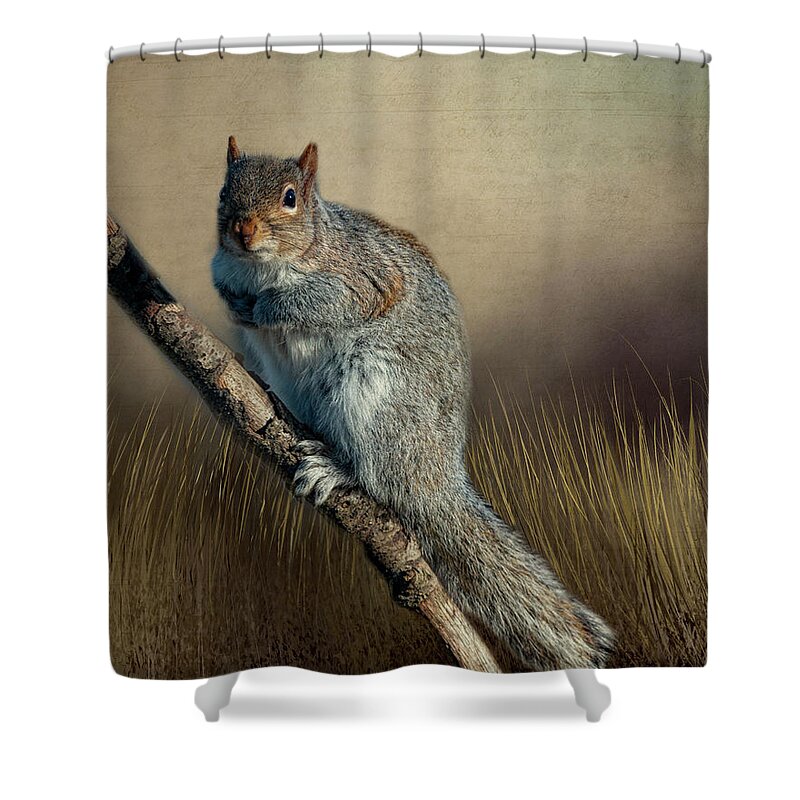 Nature Shower Curtain featuring the photograph The Squirrel by Cathy Kovarik
