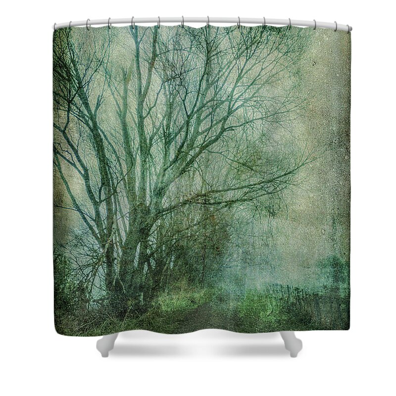 Tree Shower Curtain featuring the photograph Tree Mist #1 by Roseanne Jones