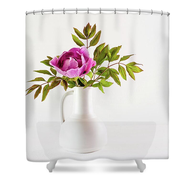 Tree Peony Shower Curtain featuring the photograph Tree peony Lan He Paeonia suffruticosa rockii in a white vase by Torbjorn Swenelius