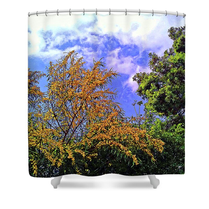 Sly Shower Curtain featuring the photograph Tree View #1 by Andrew Lawrence
