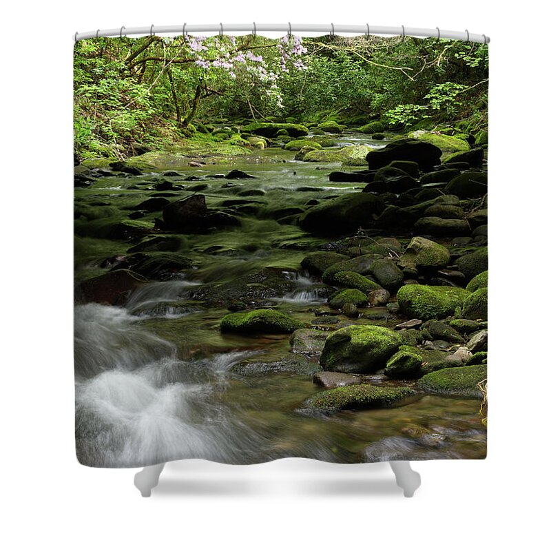 Trees Shower Curtain featuring the photograph Under the Road #1 by Phil Perkins