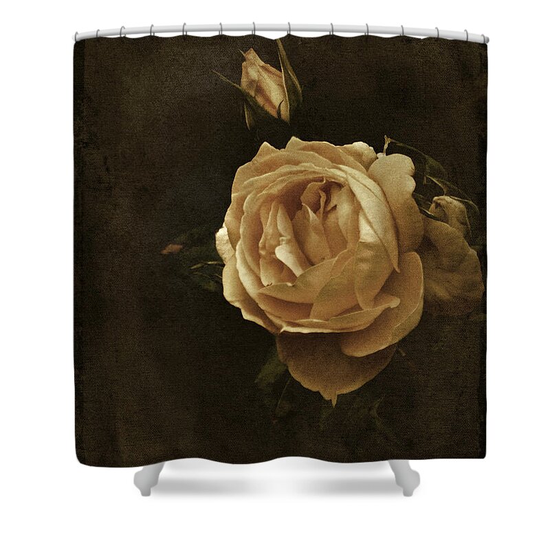 Rose Shower Curtain featuring the photograph Vintage Rose #1 by Richard Cummings