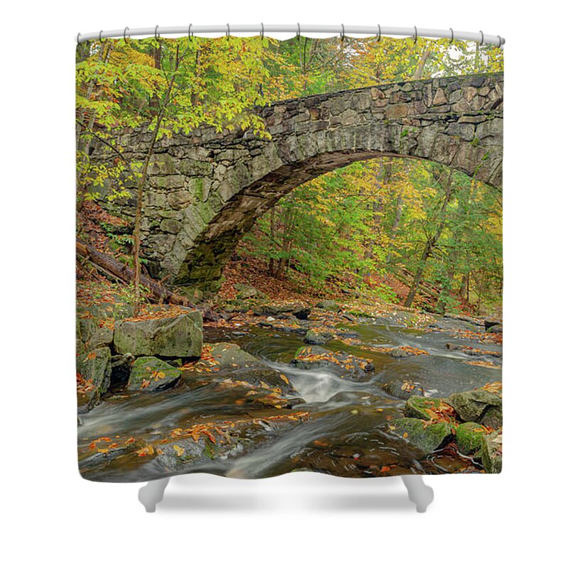 Bridges Shower Curtain featuring the photograph Walkway Bridge #1 by David Lee