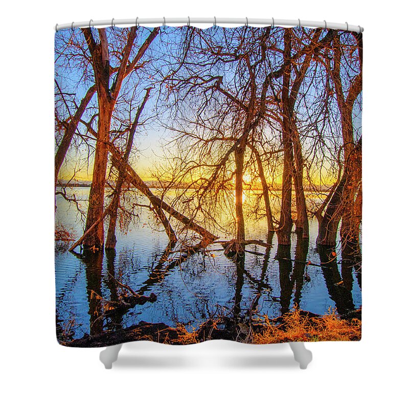 Autumn Shower Curtain featuring the photograph Twisted Trees On Lake at Sunset by Tom Potter
