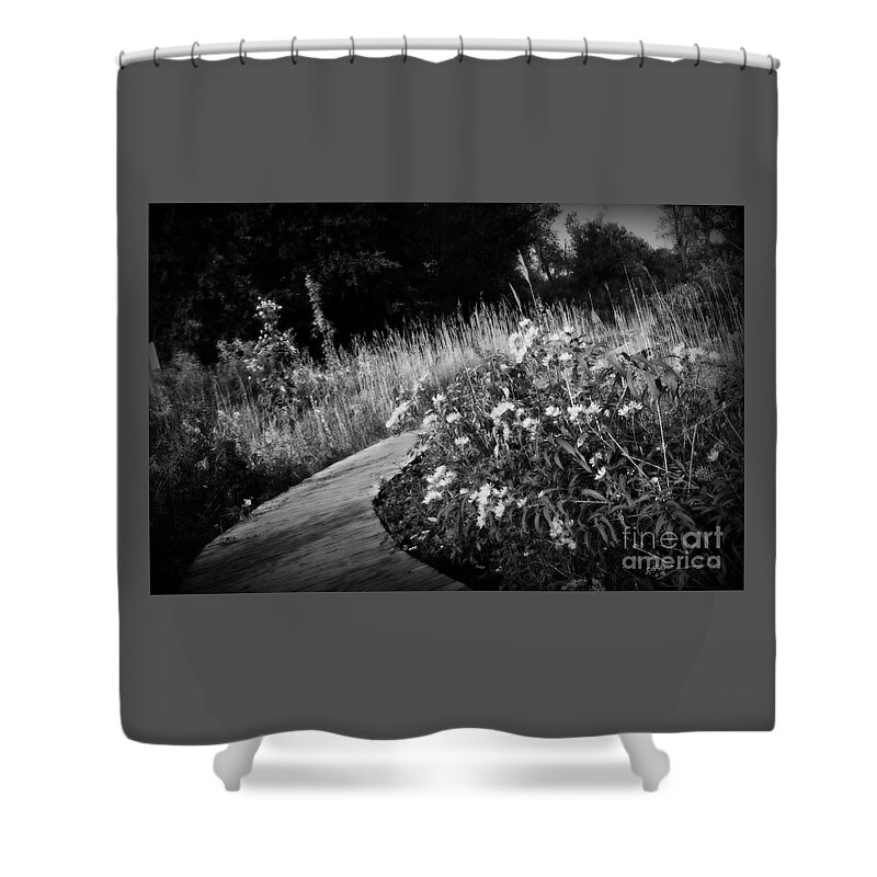 Black And White Shower Curtain featuring the photograph Wetlands Wonder - Black and White by Frank J Casella
