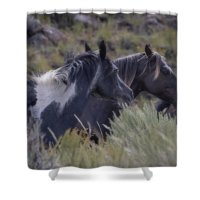 Horse Shower Curtain featuring the photograph Wild Horses #1 by Laura Terriere