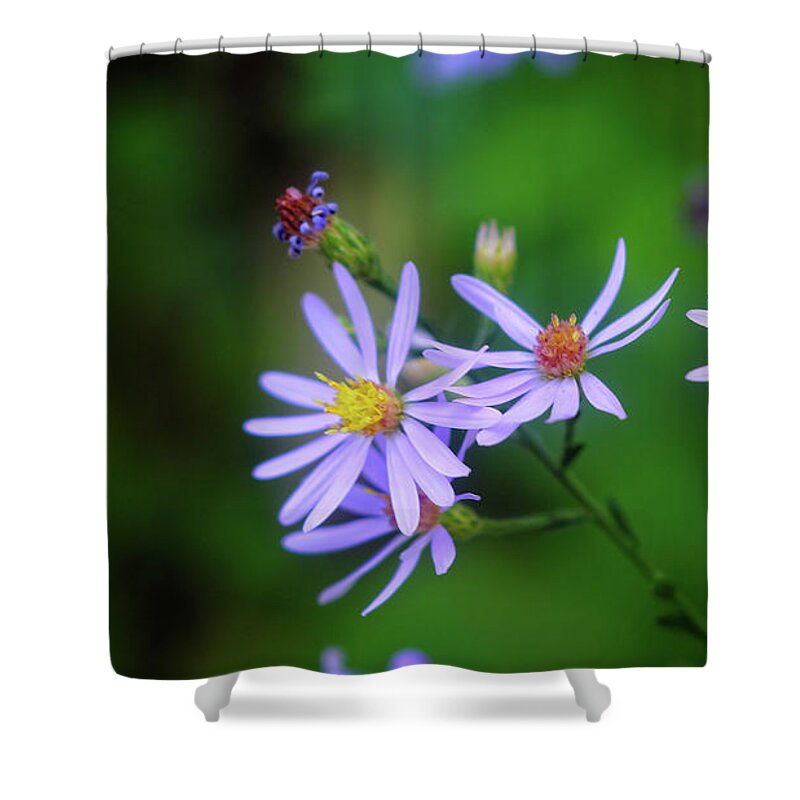 Blossom Shower Curtain featuring the photograph Wildflowers #1 by George Taylor