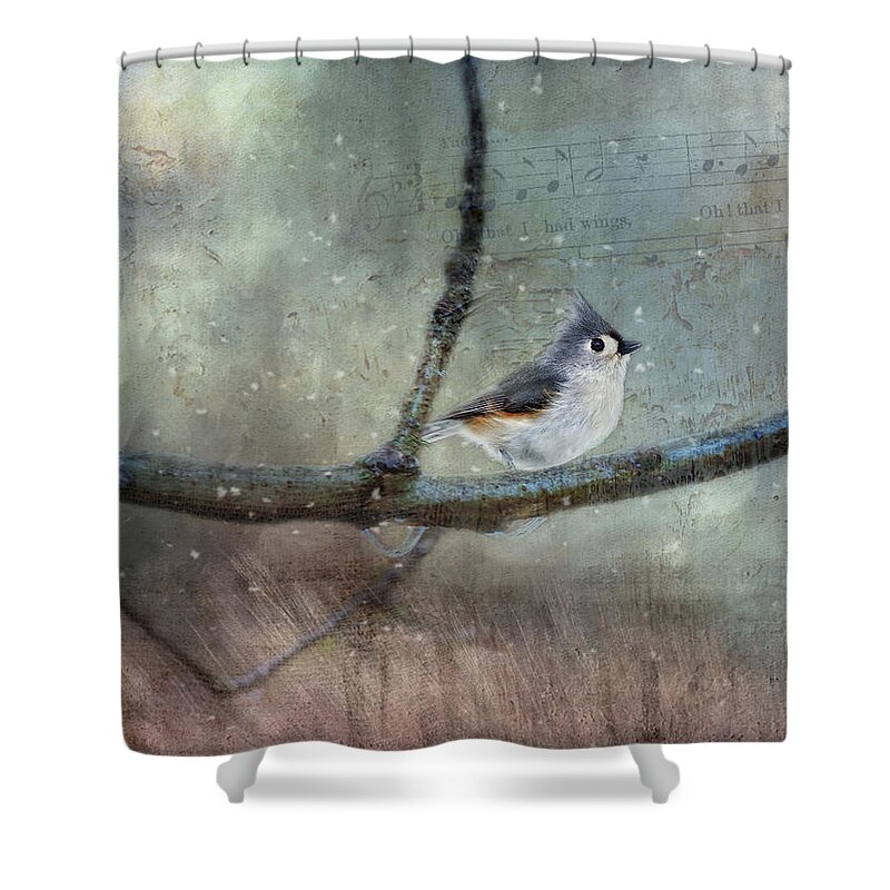 Photography Shower Curtain featuring the digital art Winter Bird Song by Terry Davis