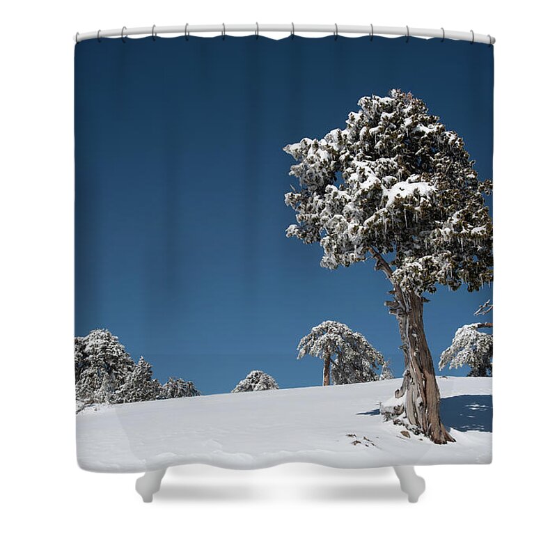 Single Tree Shower Curtain featuring the photograph Winter landscape in snowy mountains. Frozen snowy lonely fir trees against blue sky. by Michalakis Ppalis