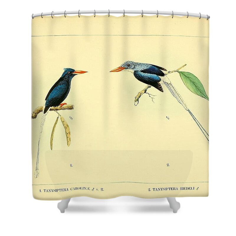 Birds Shower Curtain featuring the mixed media Beautiful Vintage Bird #1009 by World Art Collective