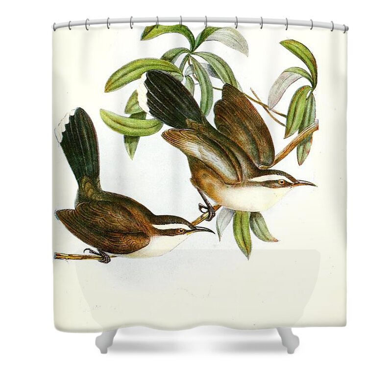 Birds Shower Curtain featuring the mixed media Beautiful Vintage Bird #1091 by World Art Collective