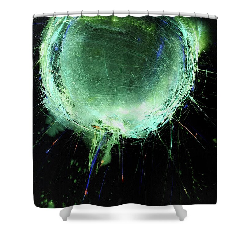  Shower Curtain featuring the painting 'Web Xoven'-inversion-1 by Petra Rau