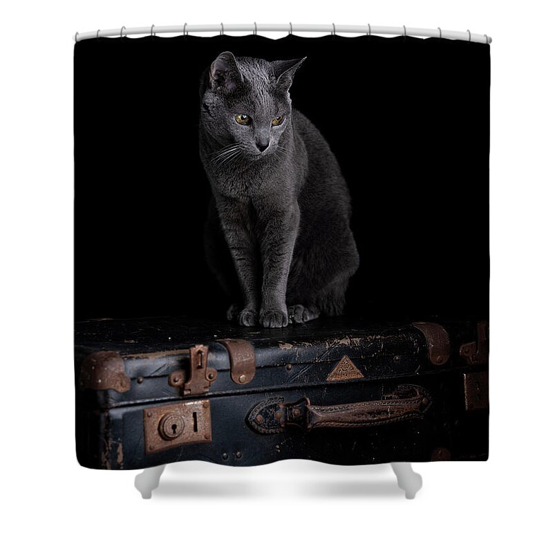 Russian Blue Shower Curtain featuring the photograph Russian Blue Cat by Nailia Schwarz