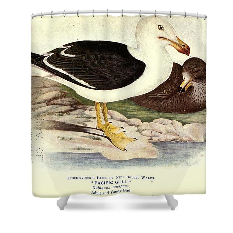 Birds Shower Curtain featuring the mixed media Beautiful Vintage Bird #1149 by World Art Collective